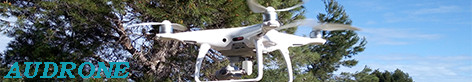 Audrone